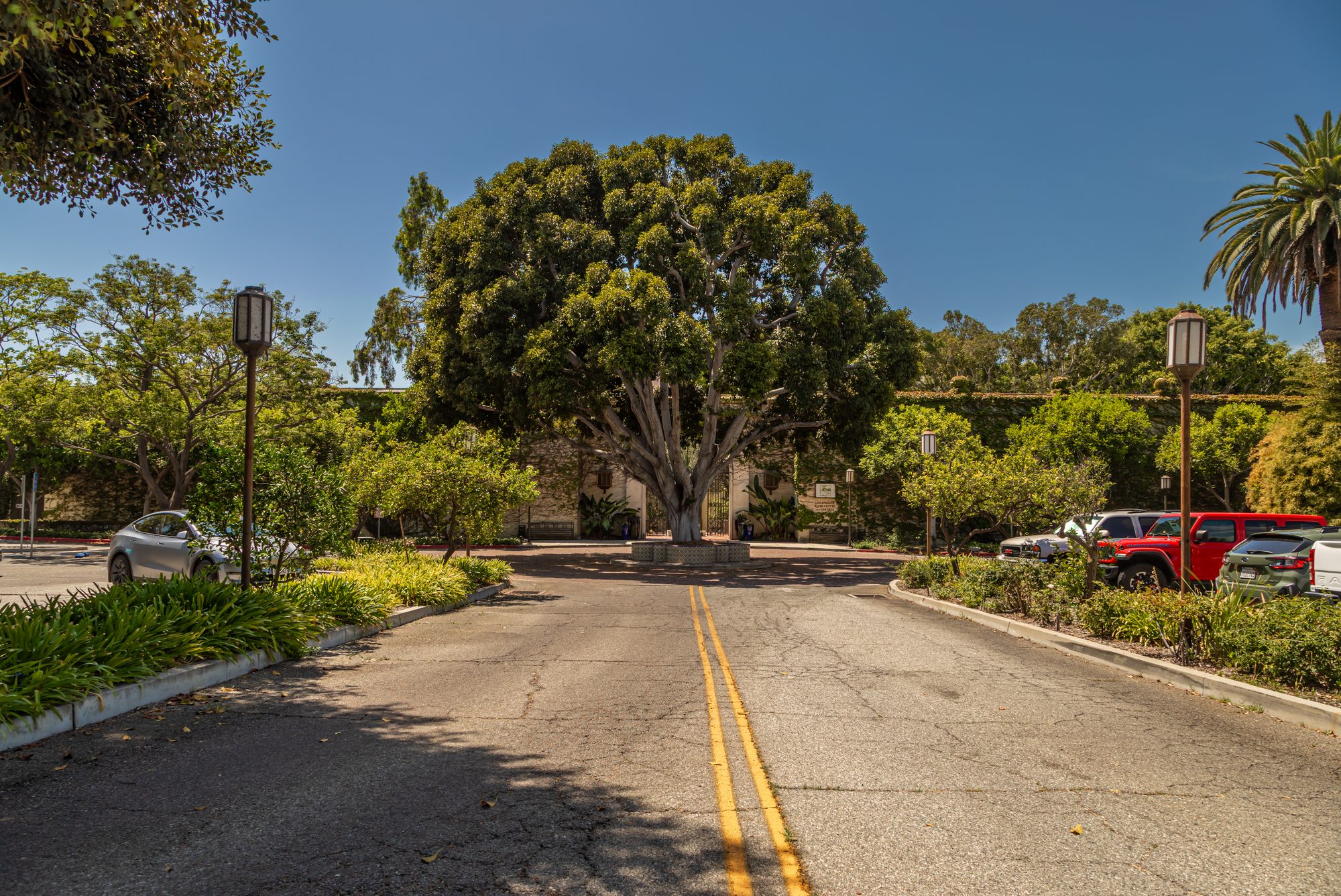 The road up to the LA River Center & Gardens