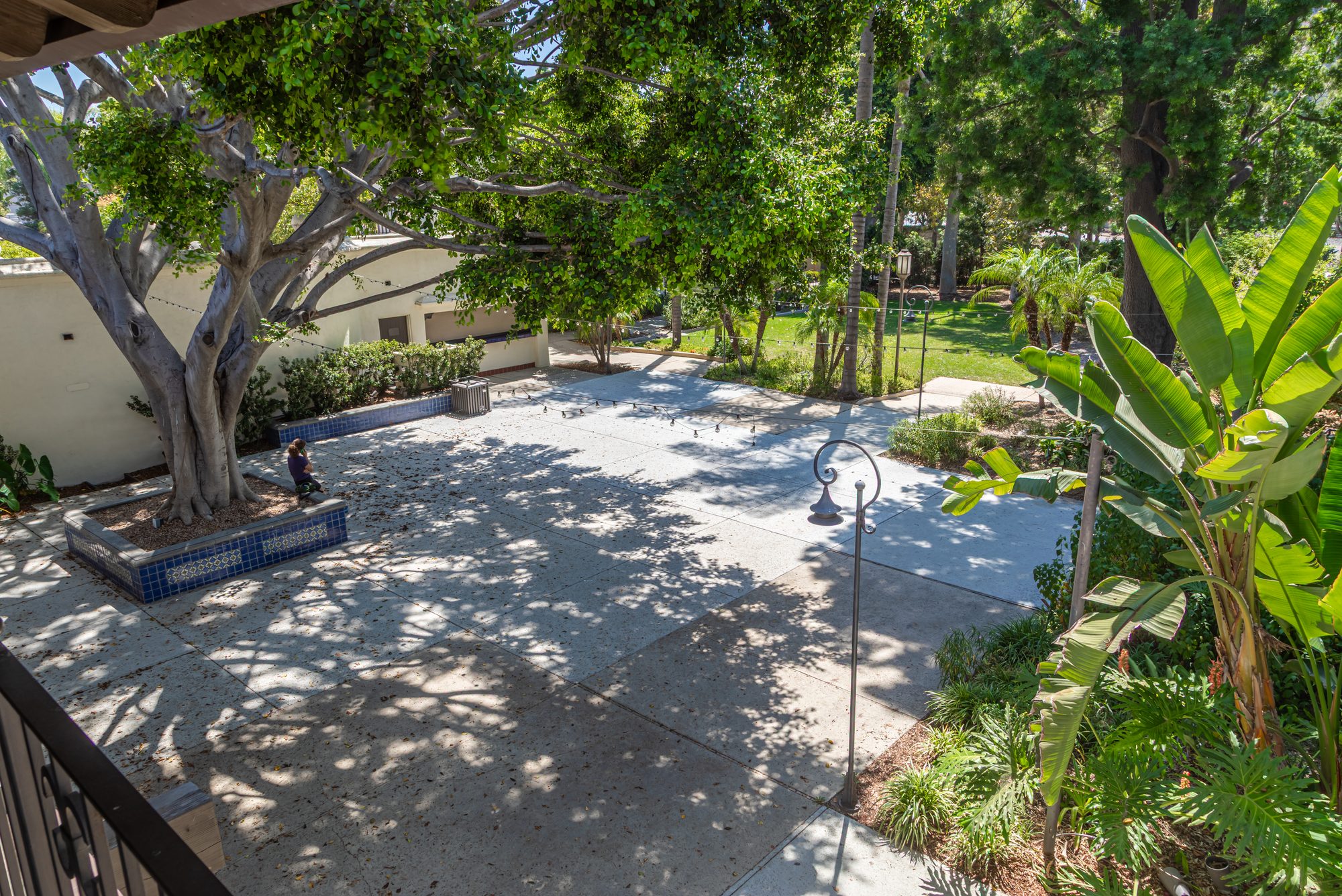 The planted garden and its palms at the LA River Center