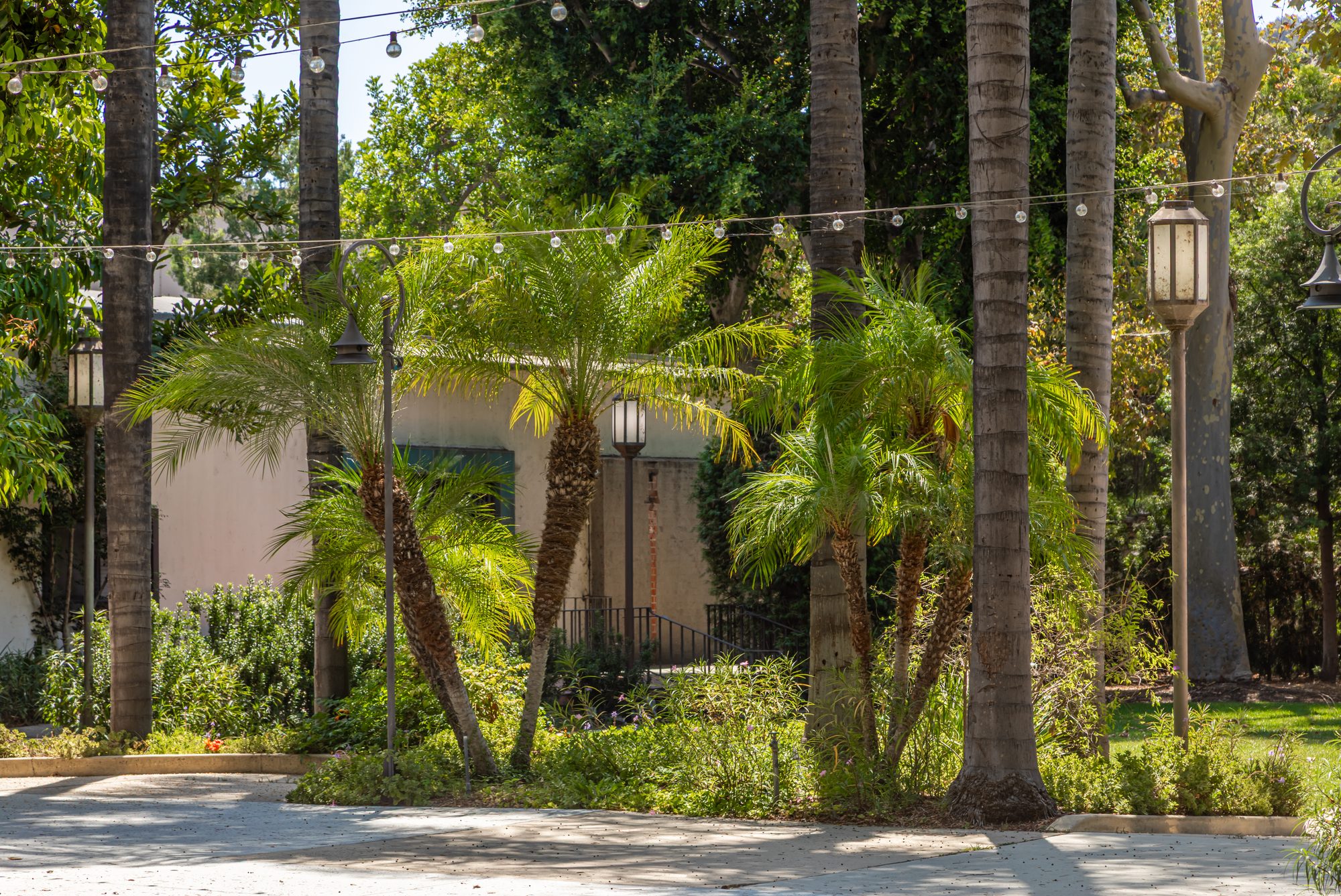 The palm-lined walk at the LA River Center